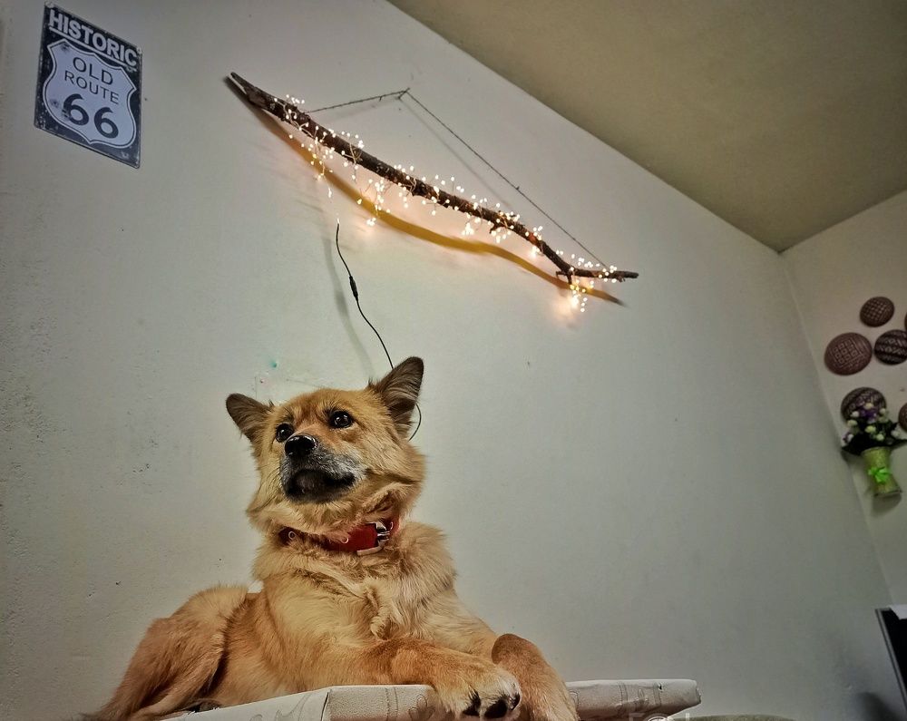 Фотография автора James Timsena