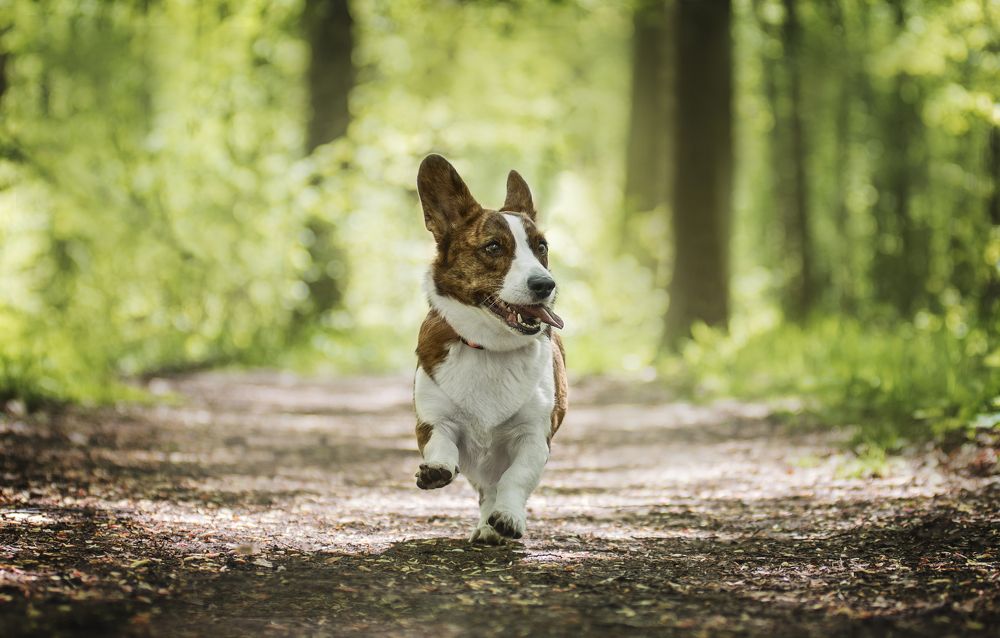 Photograph by Курашкина Анна