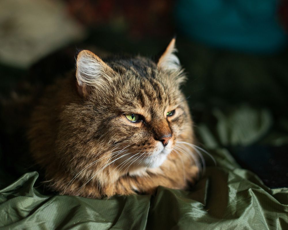 Фотография автора Богдан Ботовский