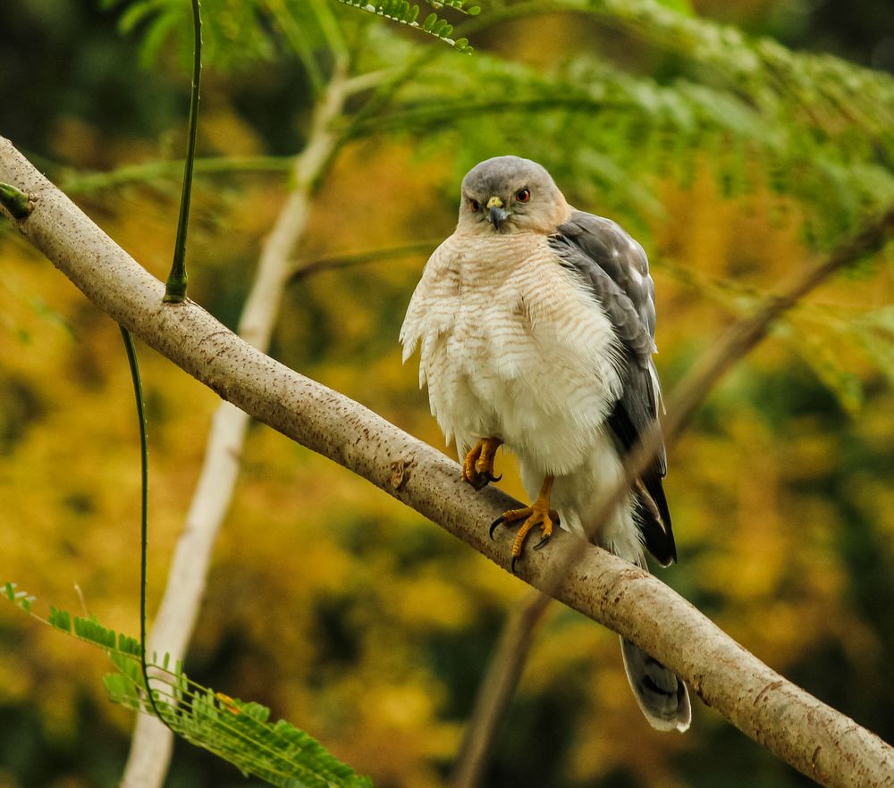 Photograph by Kapilesh Gujarathi