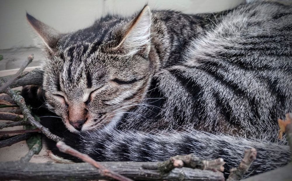 Photograph by Serge S. Pashintsev