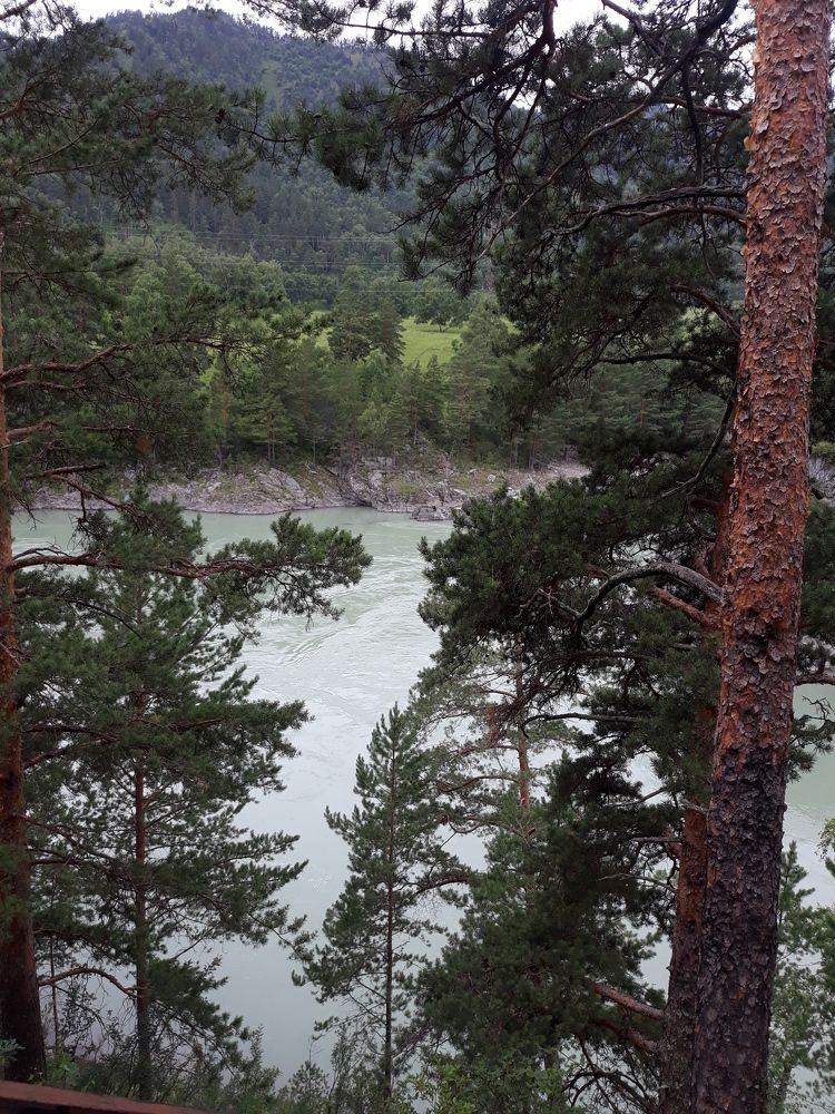 Сила природы.