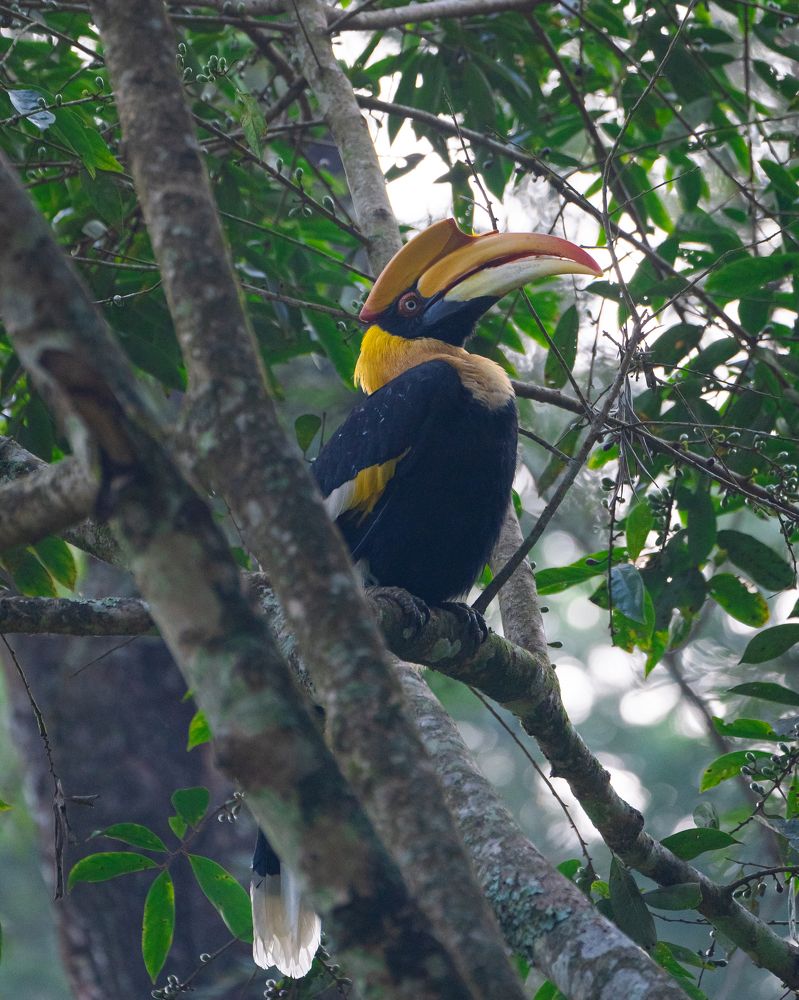 Photograph by Yuvaraj