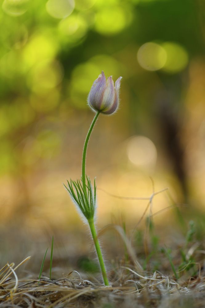 Photograph by Алексей Маевский