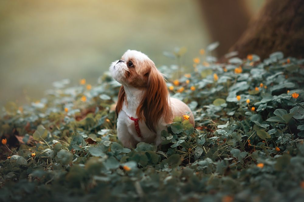 Photograph by Анастасия Корбут