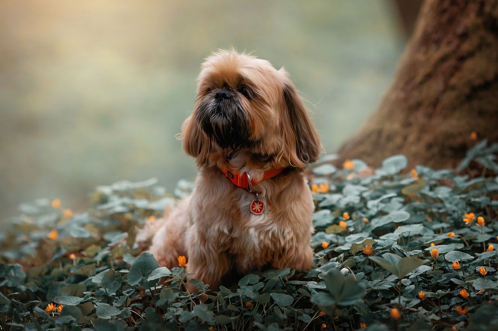 Photograph by Анастасия Корбут