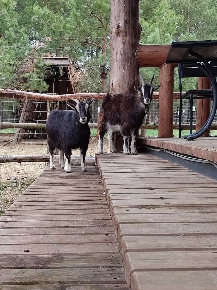 Photograph by Ольга Сучкова