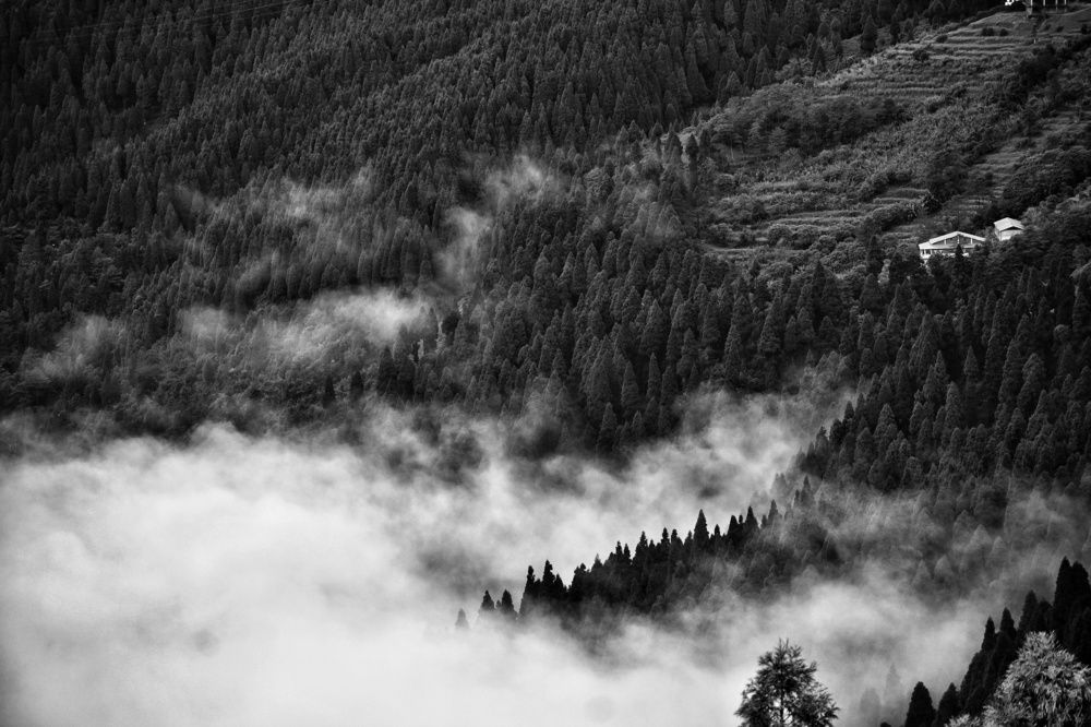 Photograph by Joy Karmakar