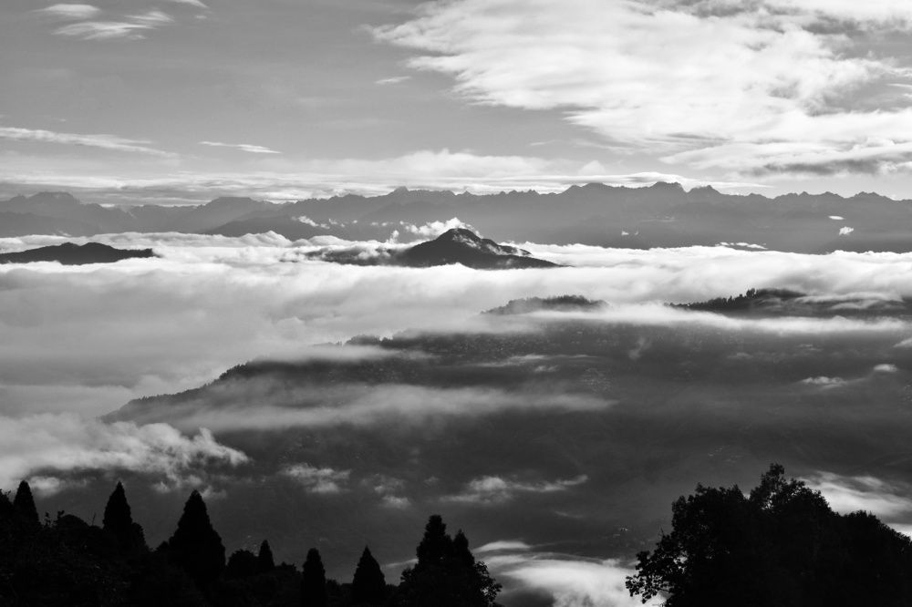 Photograph by Joy Karmakar