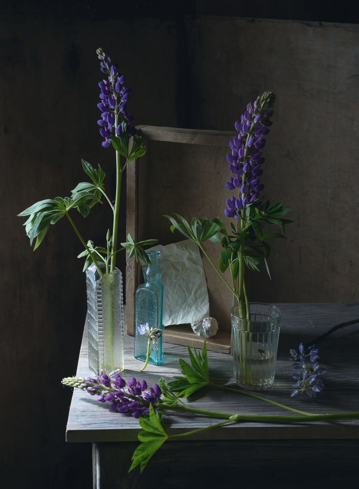 Фотография автора Елена Хазина