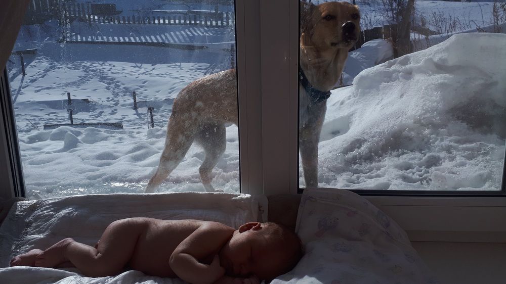 Photograph by Наталья Налобина