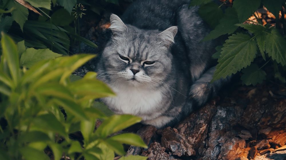 Photograph by Денис Бочаров