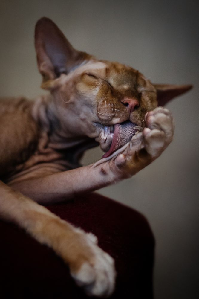 Photograph by Абрамова Аксинья