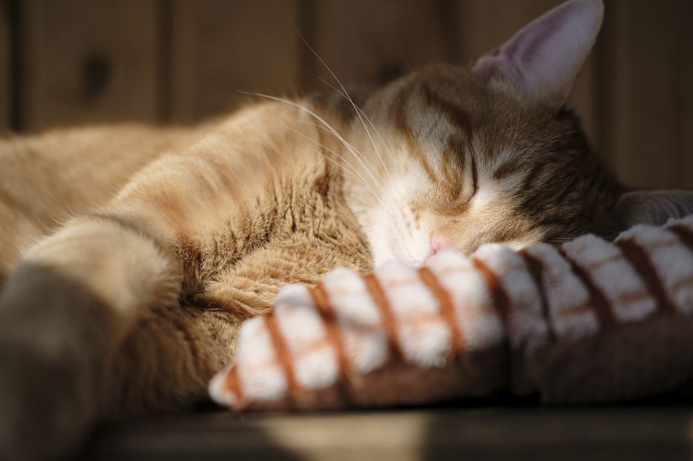 Photograph by Руслан