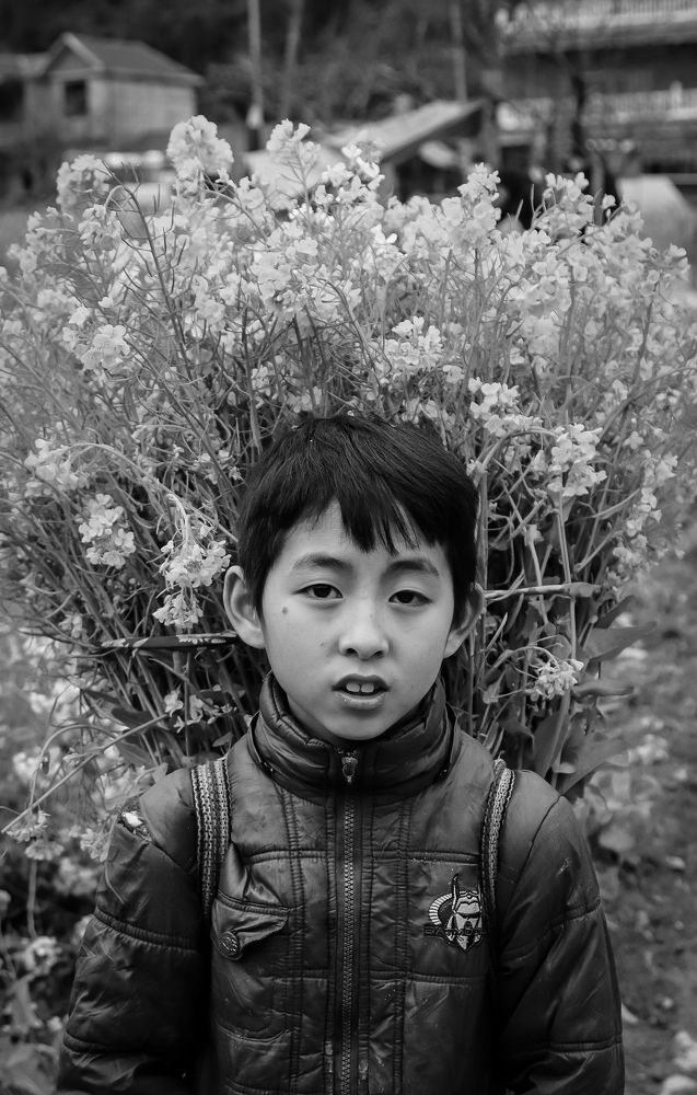 Photograph by Le Gray