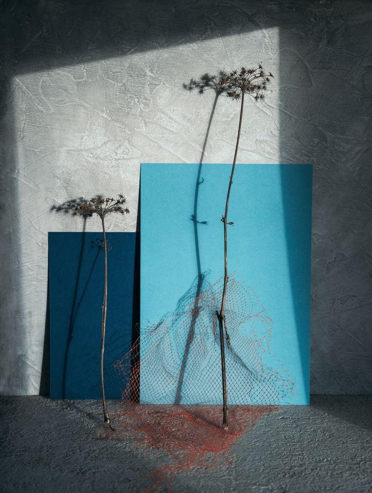 Фотография автора Елена Хазина