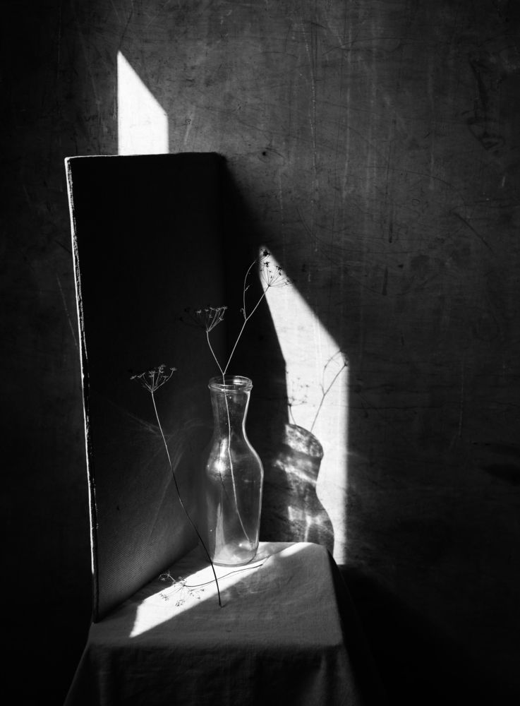 Фотография автора Елена Хазина