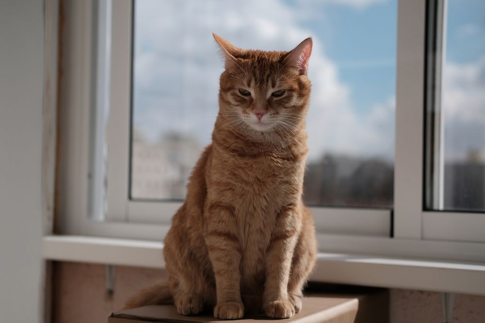 Photograph by Руслан