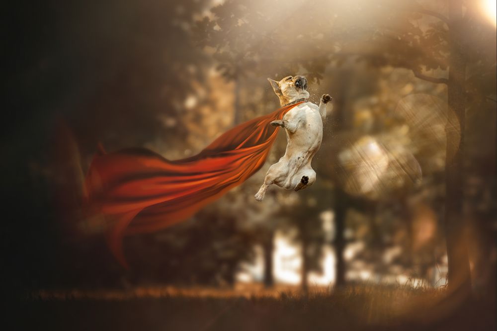 Photograph by Ольга Овчинникова