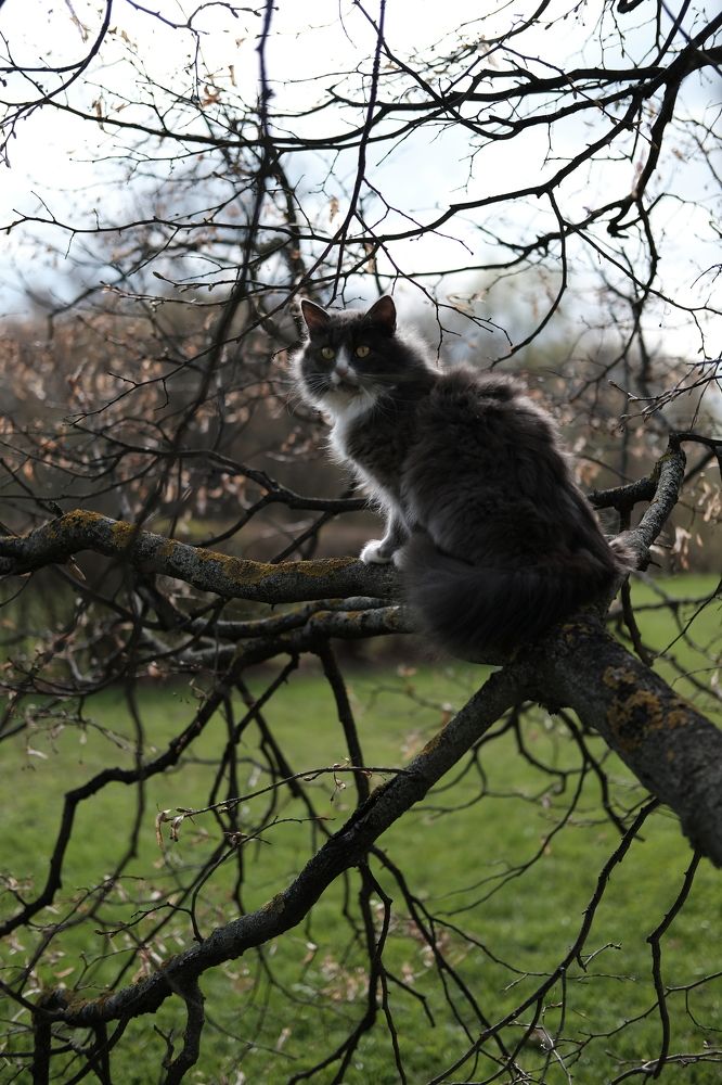 Photograph by Руслан