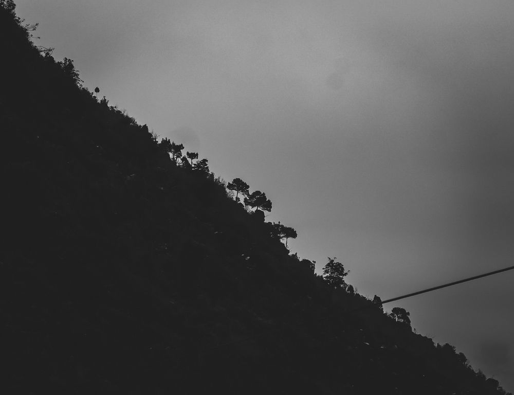 Photograph by Le Gray