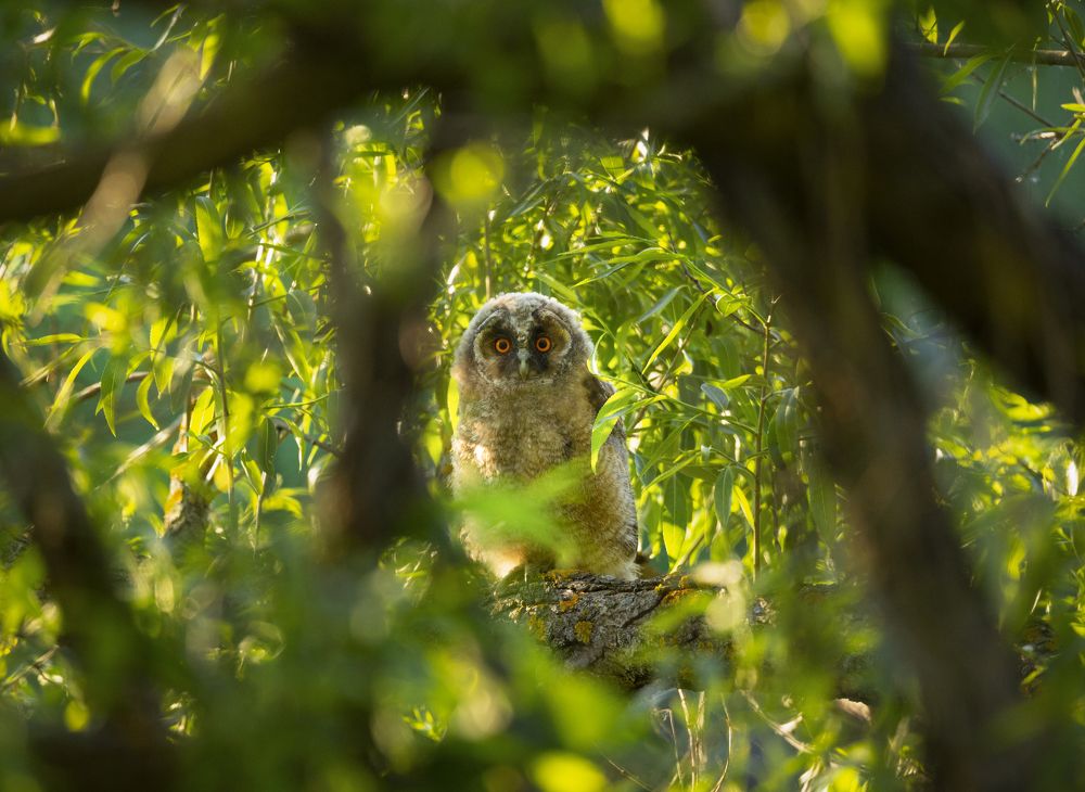 Photograph by Андрей Олонцев