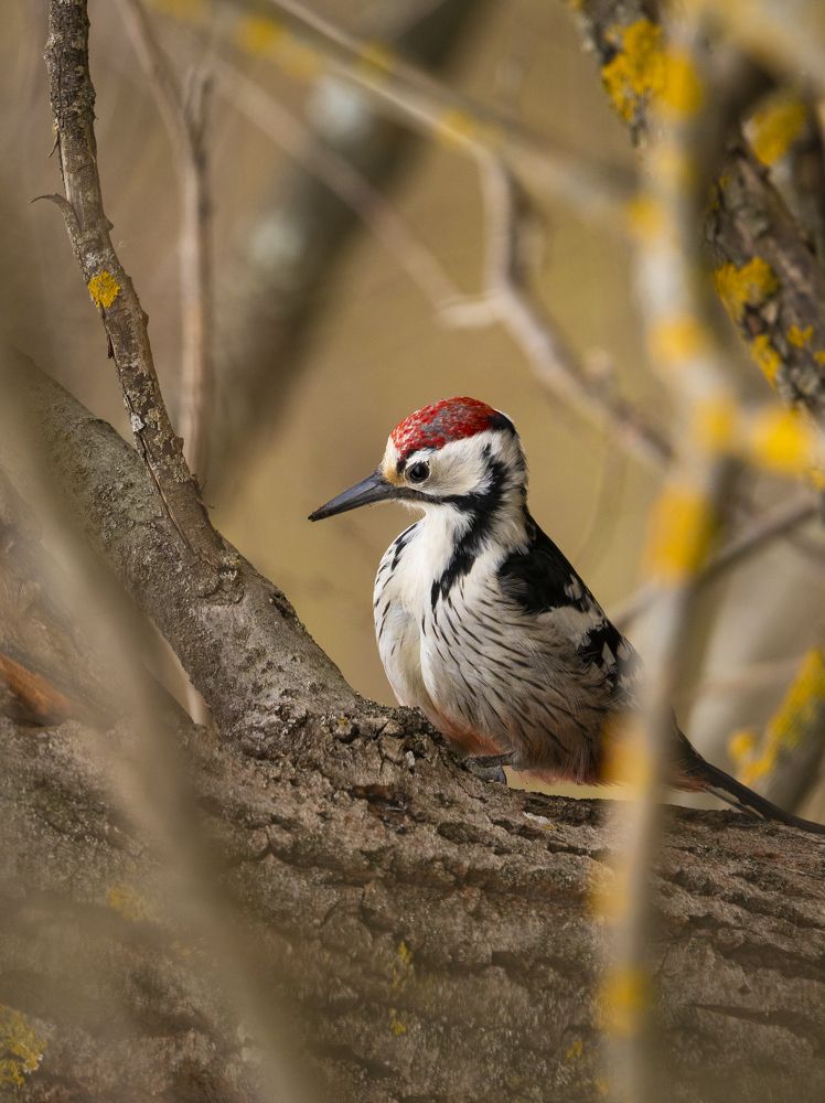 Photograph by Андрей Олонцев