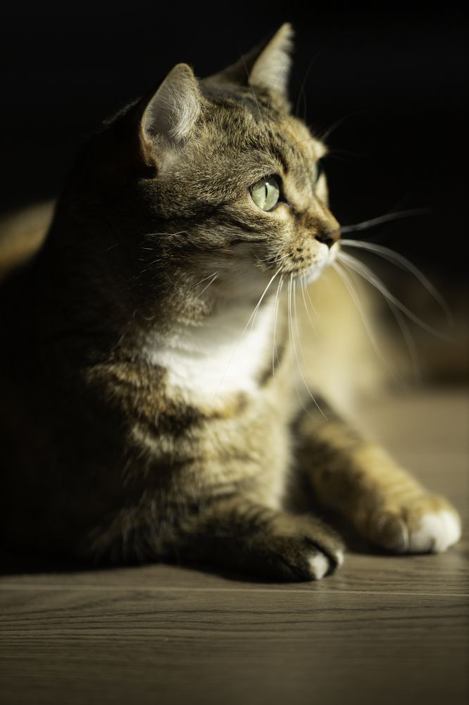 Photograph by Мария Мельничук