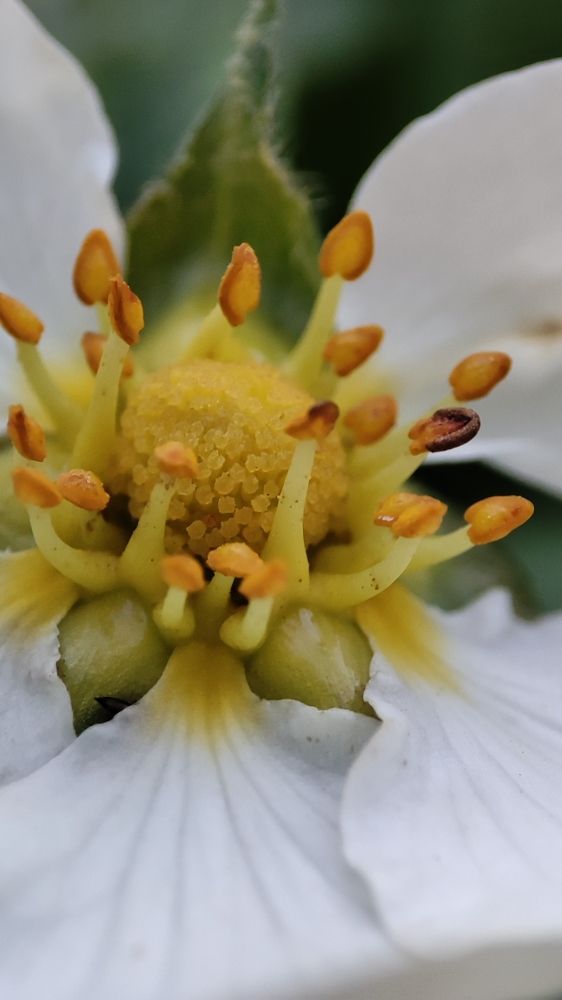 Photograph by Кадырова Анастасия