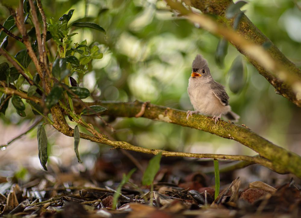 Photograph by Мирная Ксения