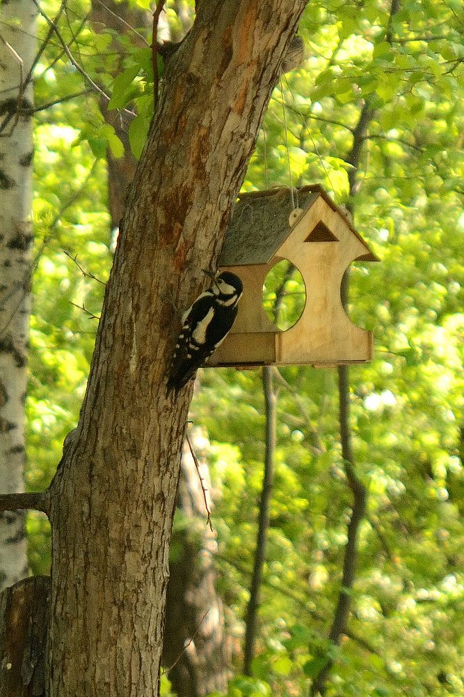 Photograph by Александра Ватутина