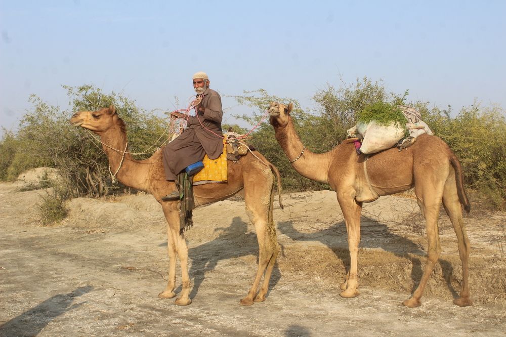 Photograph by Sarmad Sindhi