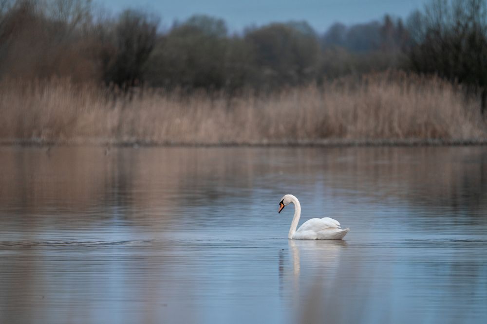 Photograph by Павел Шемякин