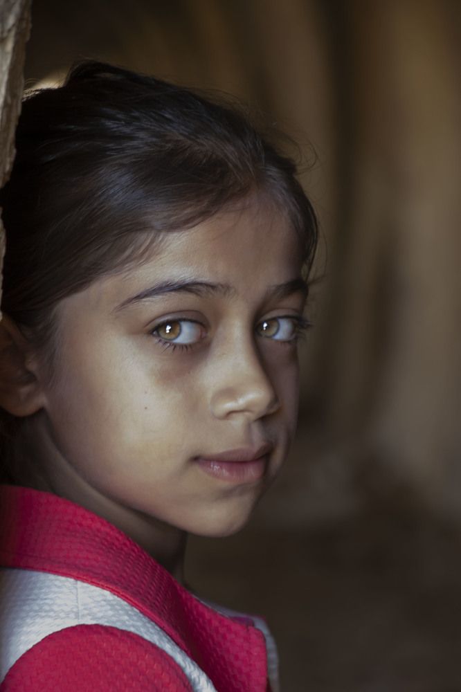 Photograph by negar zomorrod