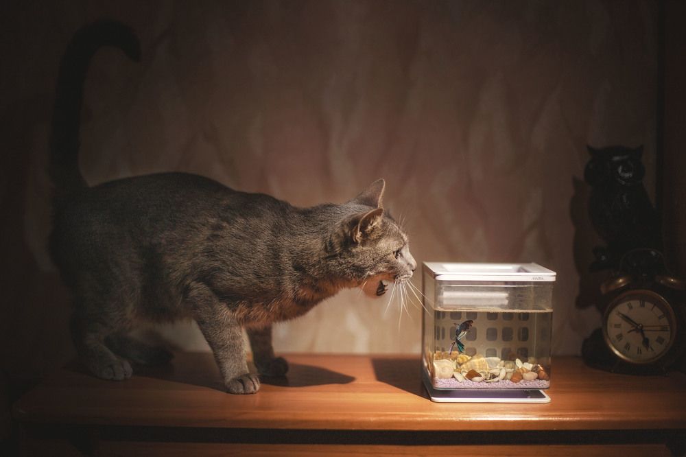 Photograph by Яна Резник