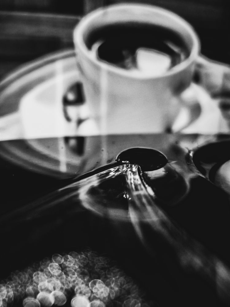 Photo #7681548