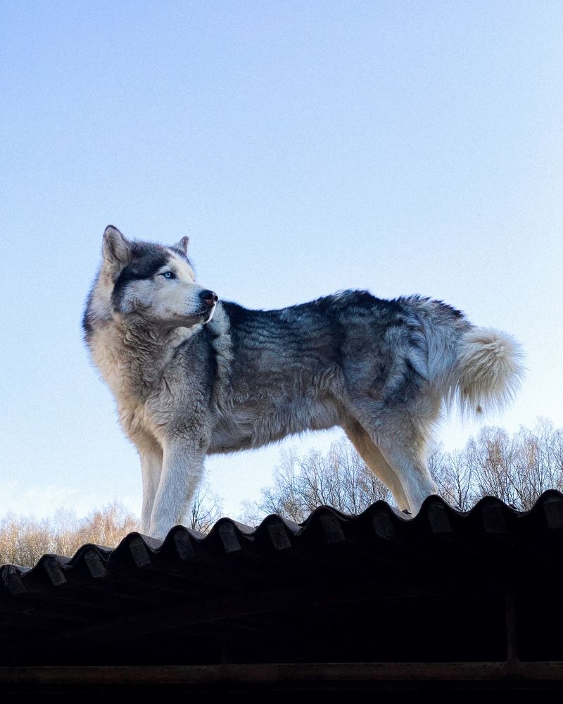 Photograph by Екатерина Бердутина