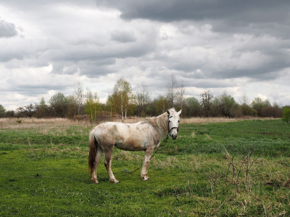 Photograph by Екатерина Бердутина
