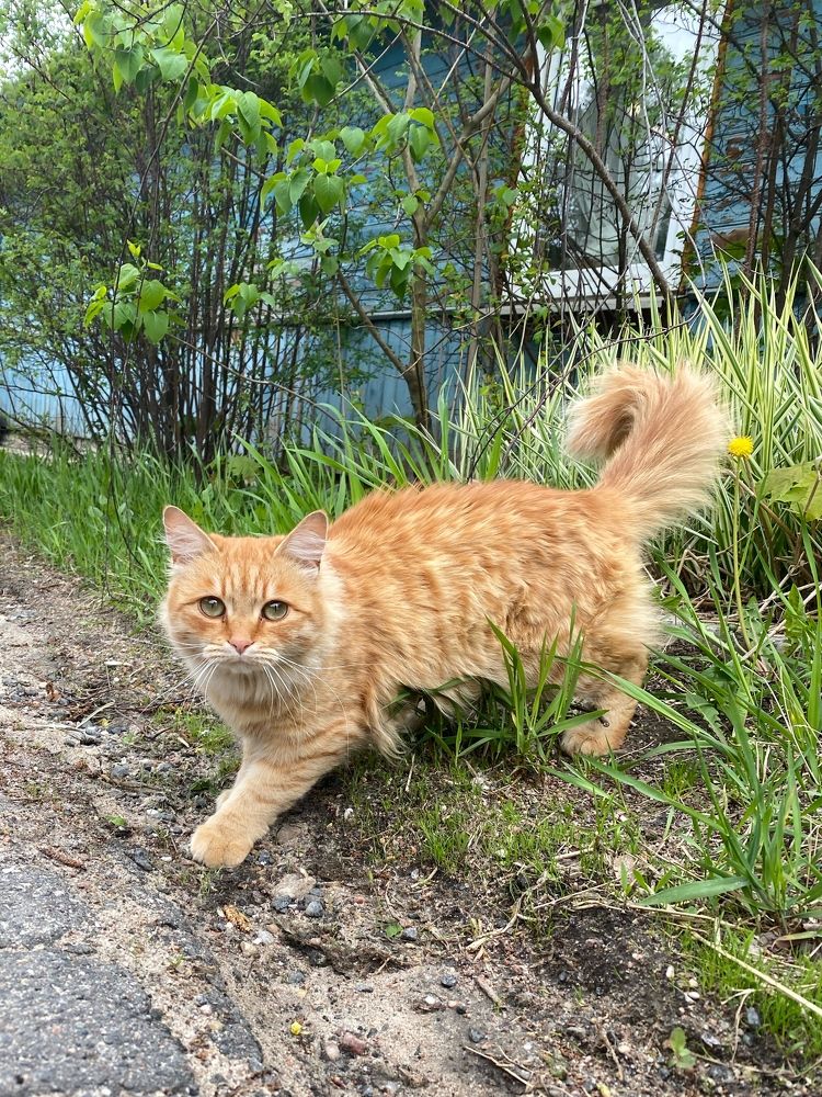 Photograph by Екатерина Бердутина