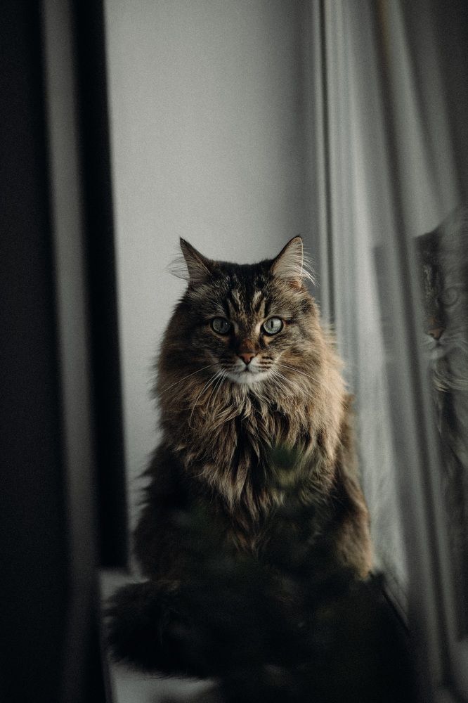 Photograph by Anna Mitichkina