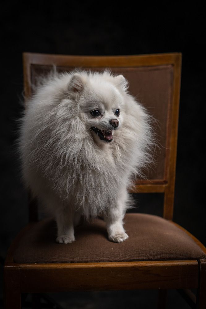 Photograph by Wiktor Kulesa