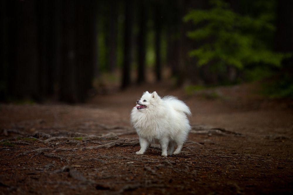 Photograph by Wiktor Kulesa