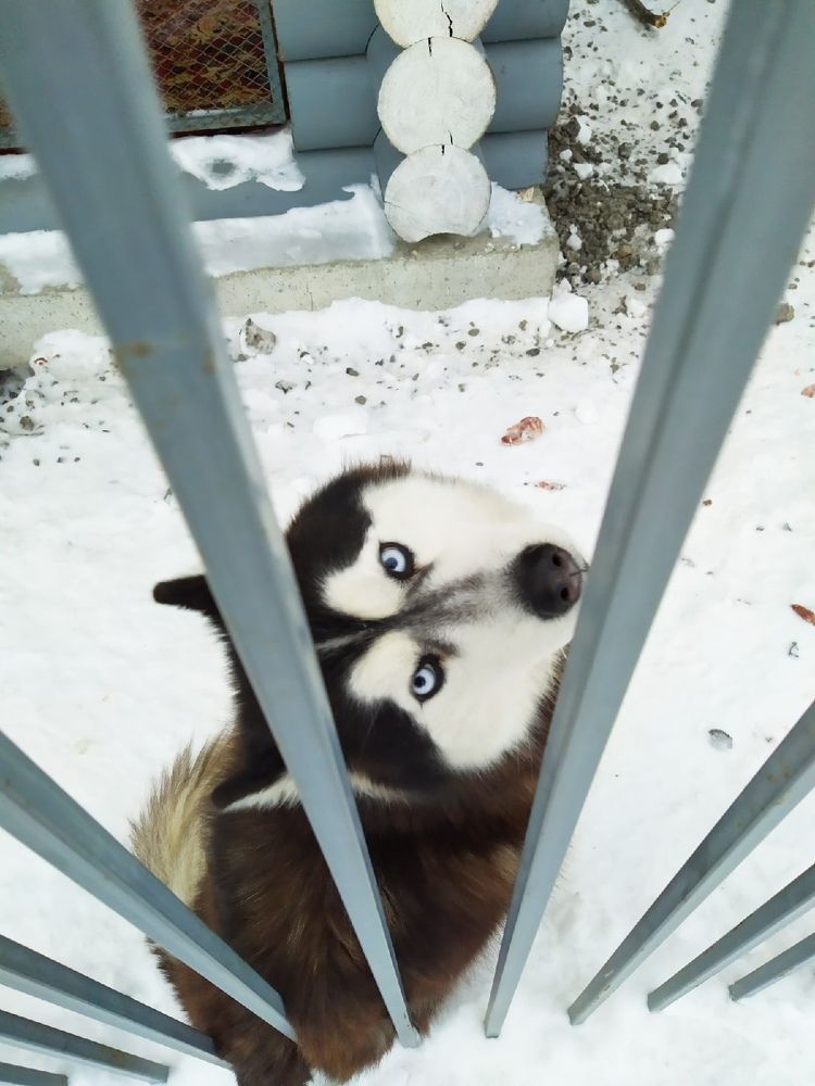 Photograph by Надежда