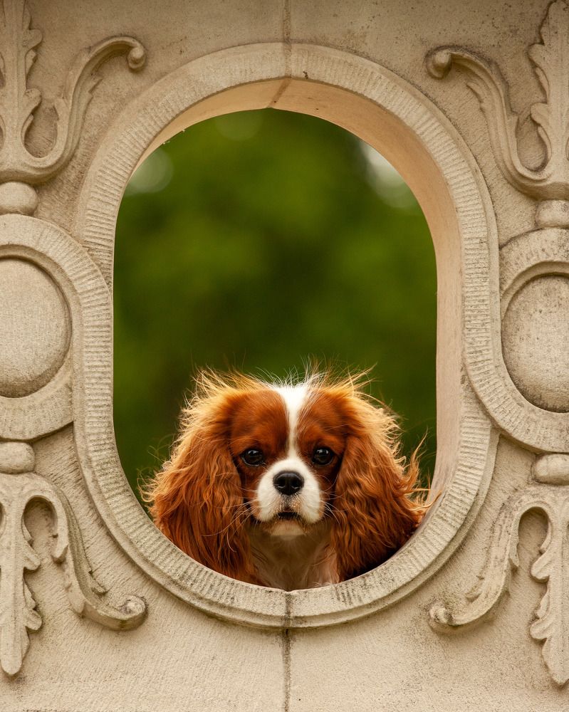 Photograph by Wiktor Kulesa