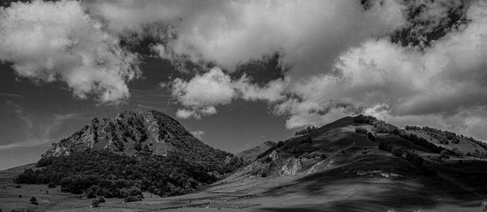 Photograph by Ксения Илюшина