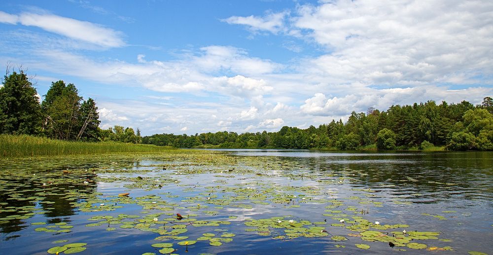 Photograph by Вячеслав Кровопусков