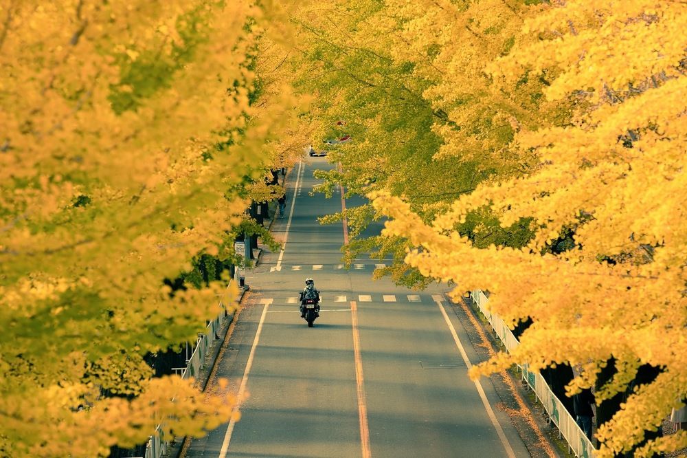 Photograph by Cao Thu