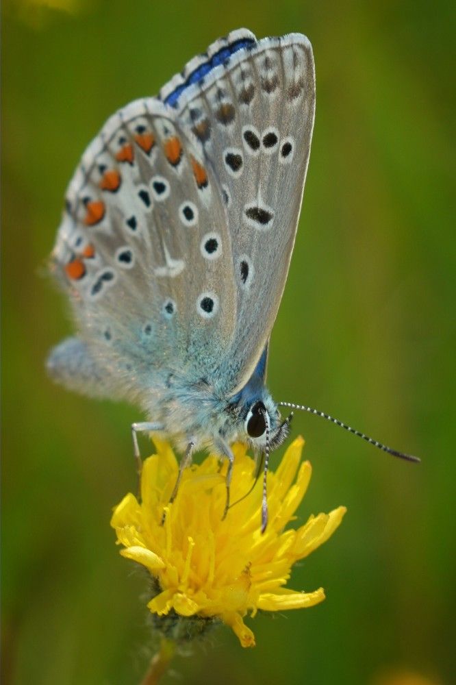 Photograph by Екатерина Гордеева