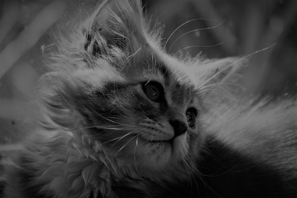 Photograph by Марина Игнатьева