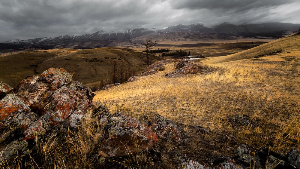 Photograph by Сергей Андреев